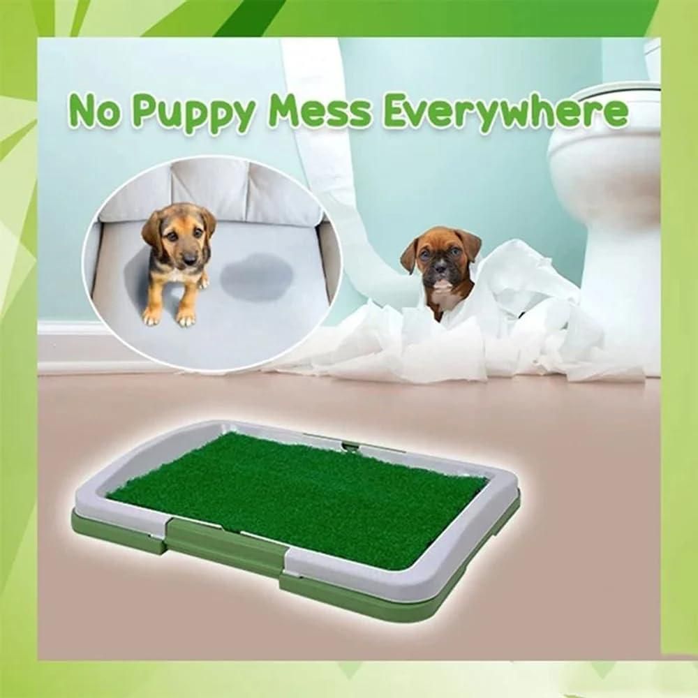 🐶🚽 Puppy Potty Training Pad – Washable &amp; Reusable ♻️